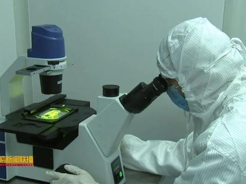 十年磨一劍 安科生物以超10%營收重注研發，鑄就生物醫藥創新引擎
